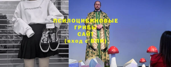 стафф Богданович