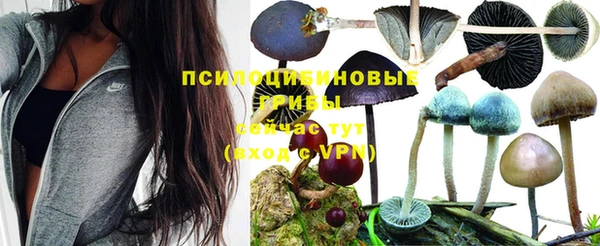 крисы Белоозёрский
