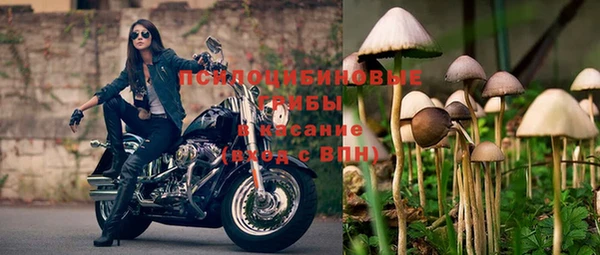мдпв Богородицк