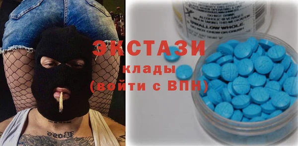 мдпв Богородицк