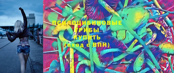 мдпв Богородицк